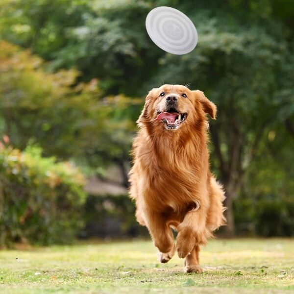Portable Pet Bowl - Image 3