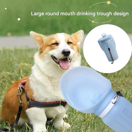 Portable dog water bottle for hiking and outdoor activities