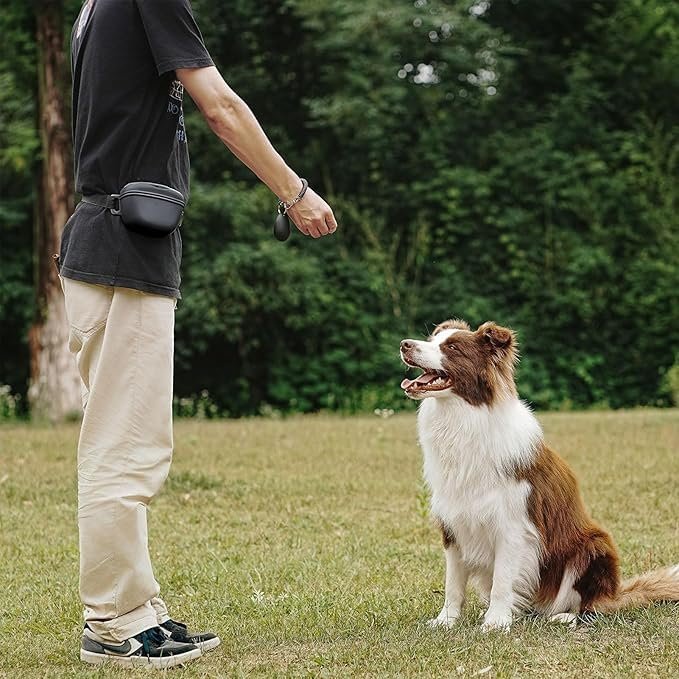 Pet training accessories ODM China waterproof silicone liner